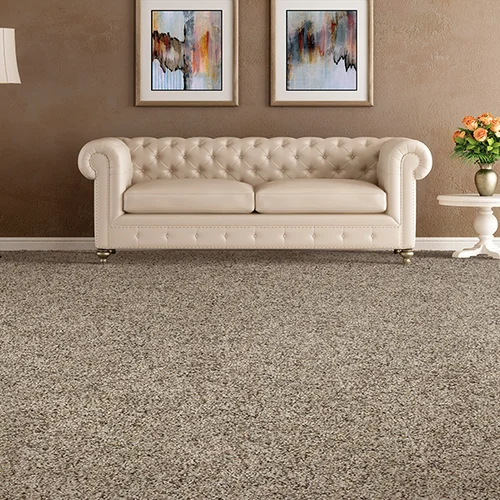 Jerseyville Carpet & Furniture Galleries providing easy stain-resistant pet friendly carpet in Jerseyville, IL
